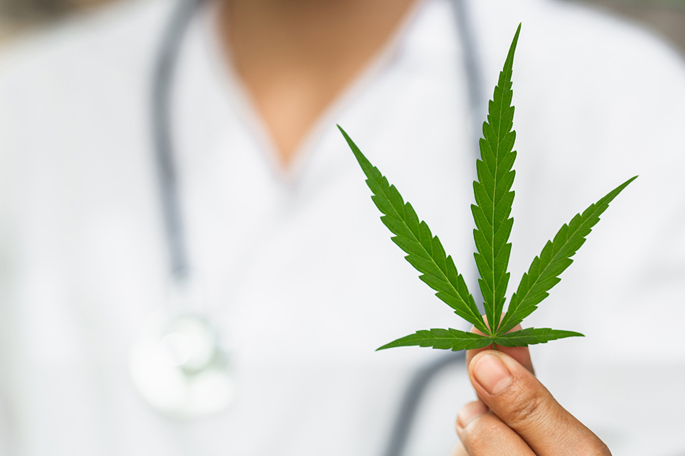 Cannabis-Therapie Osnabrück